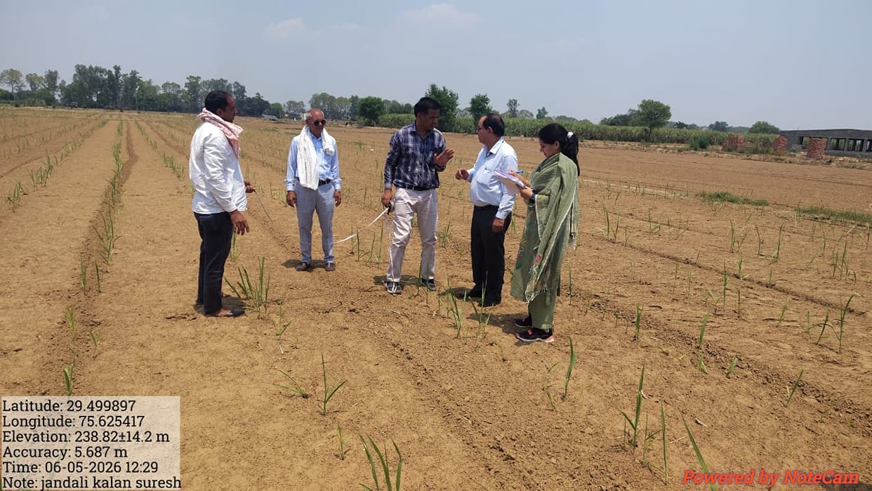 Weather hits cotton, acreage reduced by 60,000 hectares in four years