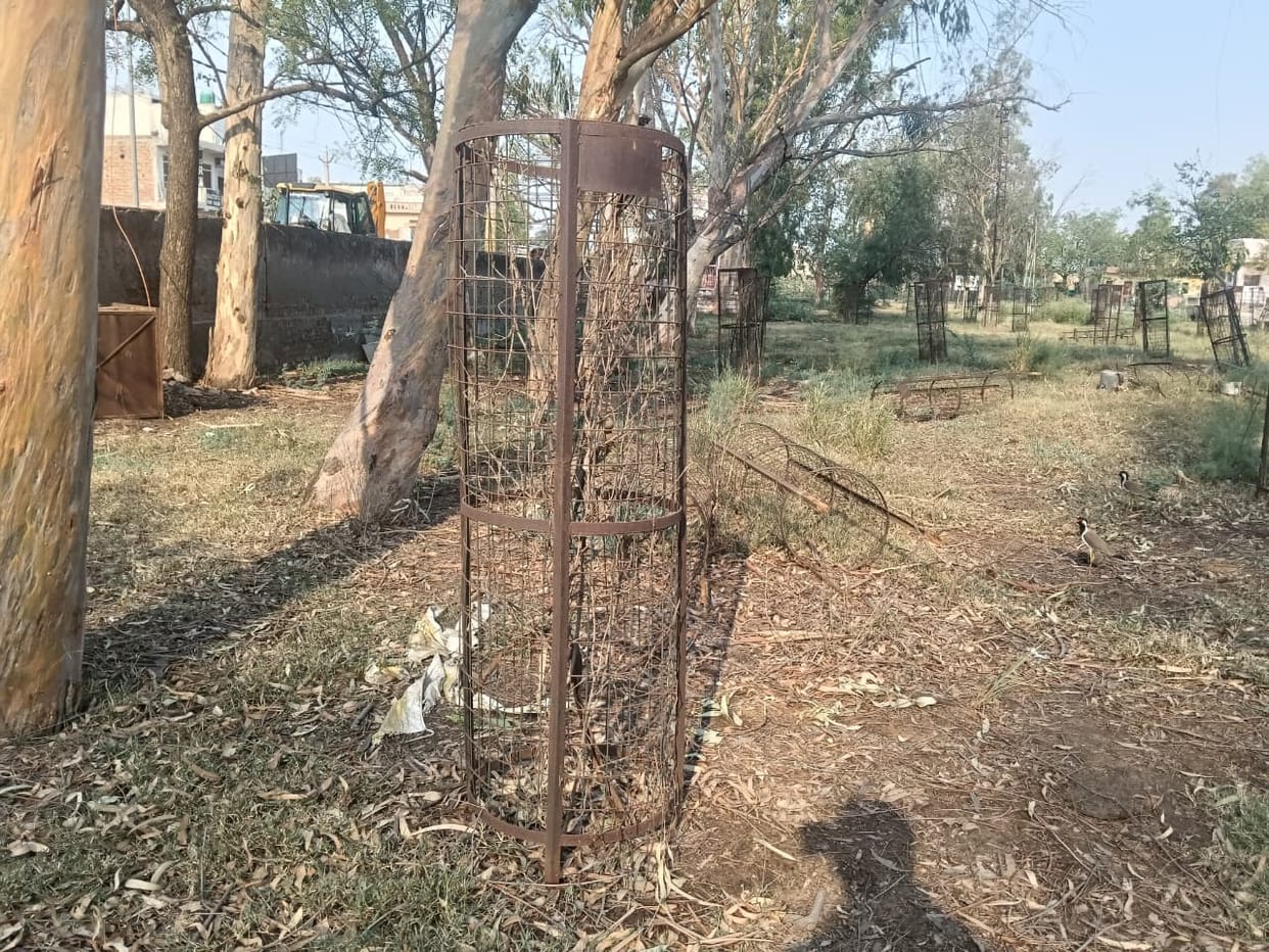 On the ventilator at the District Civil Hospital, the herbal park, the smell of medicinal plants has not spread, [there is] dirt