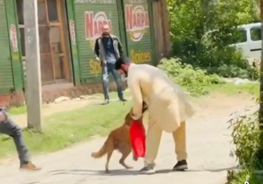 Srinagar, Video Viral, Dog Died, FIR Lodged