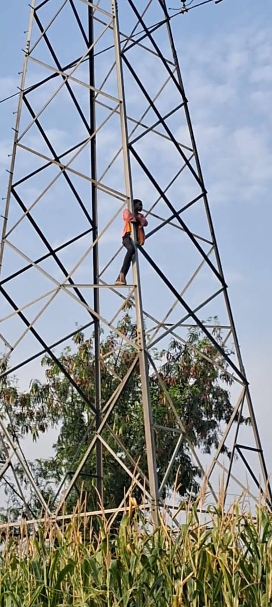 The accused were not arrested, the youth climbed the electricity tower.