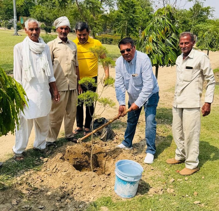 Rwa Started The Beautification Work Of Parks With Tree Plantation ...