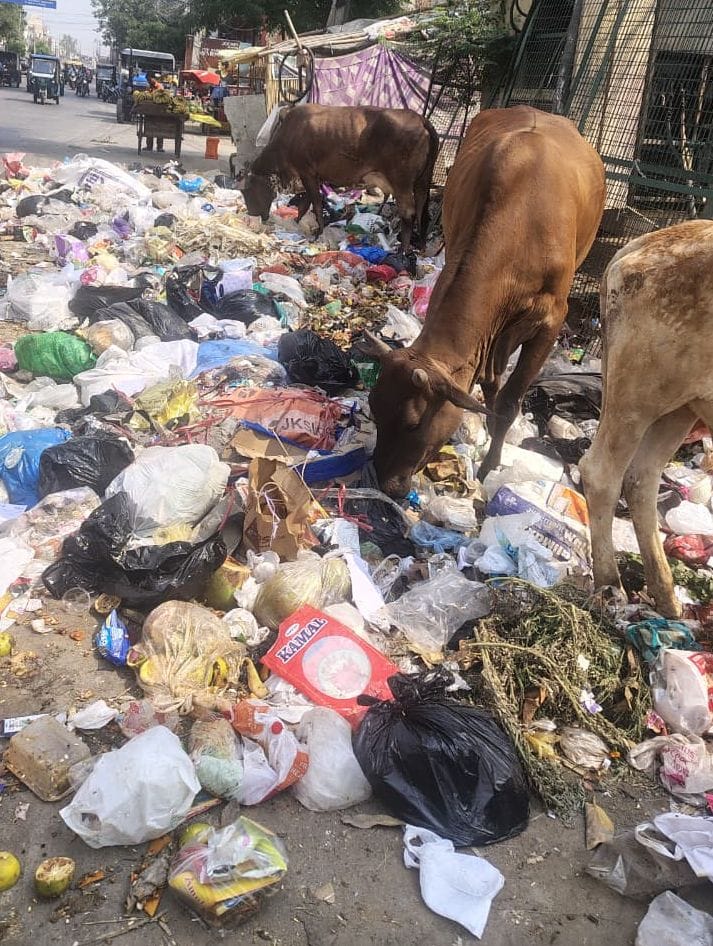 Garbage has ruined the city's appearance, with 700 tons of waste littering the streets.