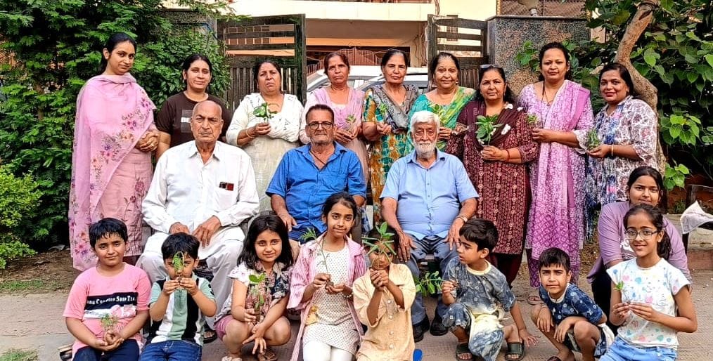 Mother's Day celebrated by planting trees
