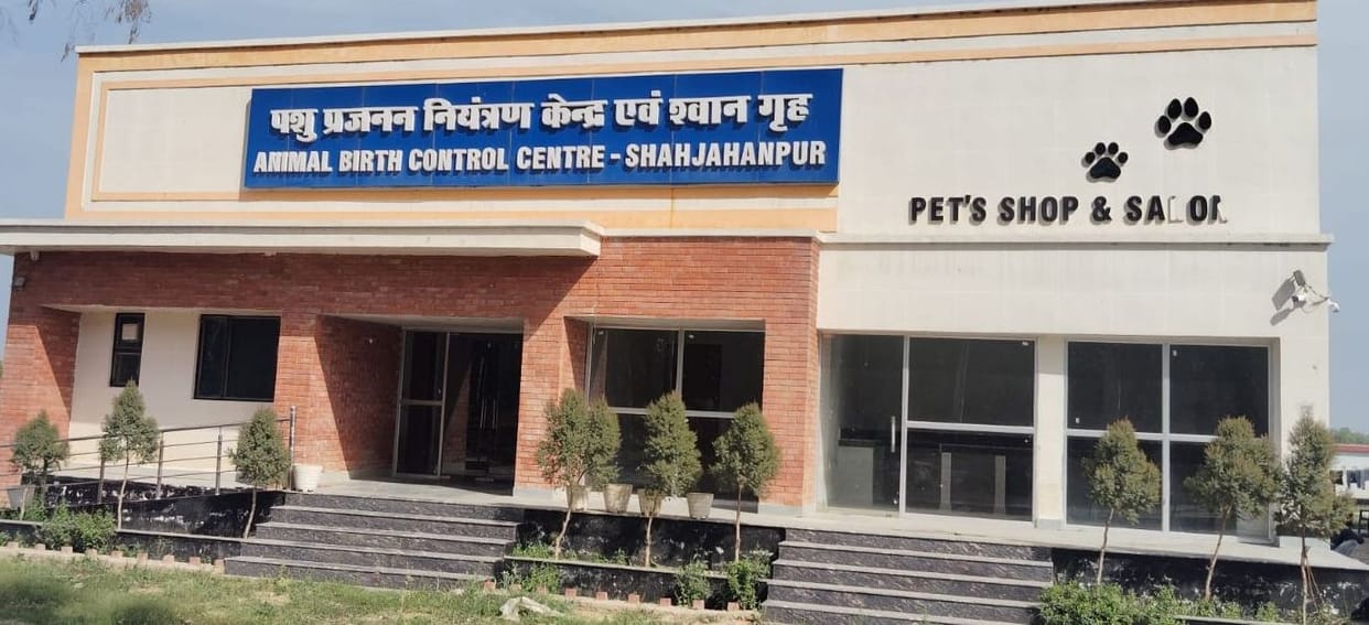 Dog Sterilization Proceeding at a Slow Pace... Arrangements Inadequate
