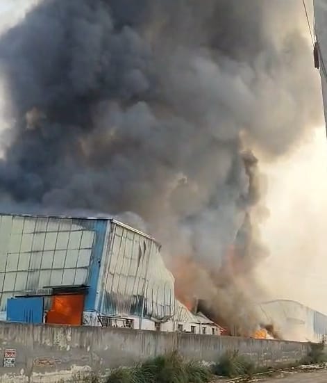 A massive fire broke out at a plywood factory in Dahkora.