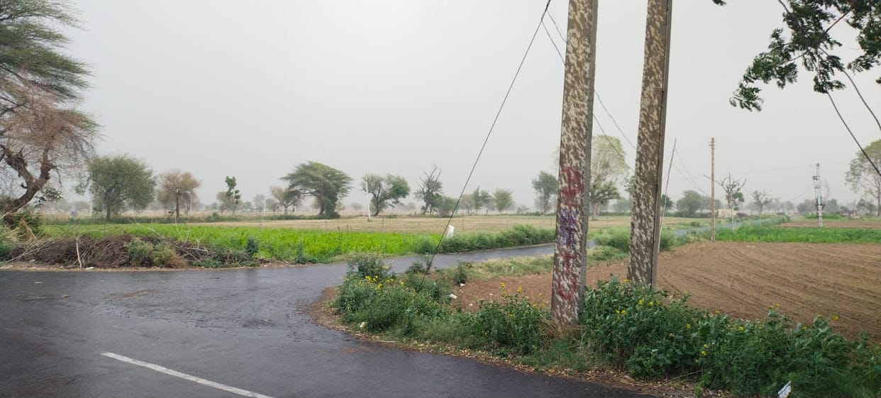 Dust storm in the morning, scorching heat again in the evening.