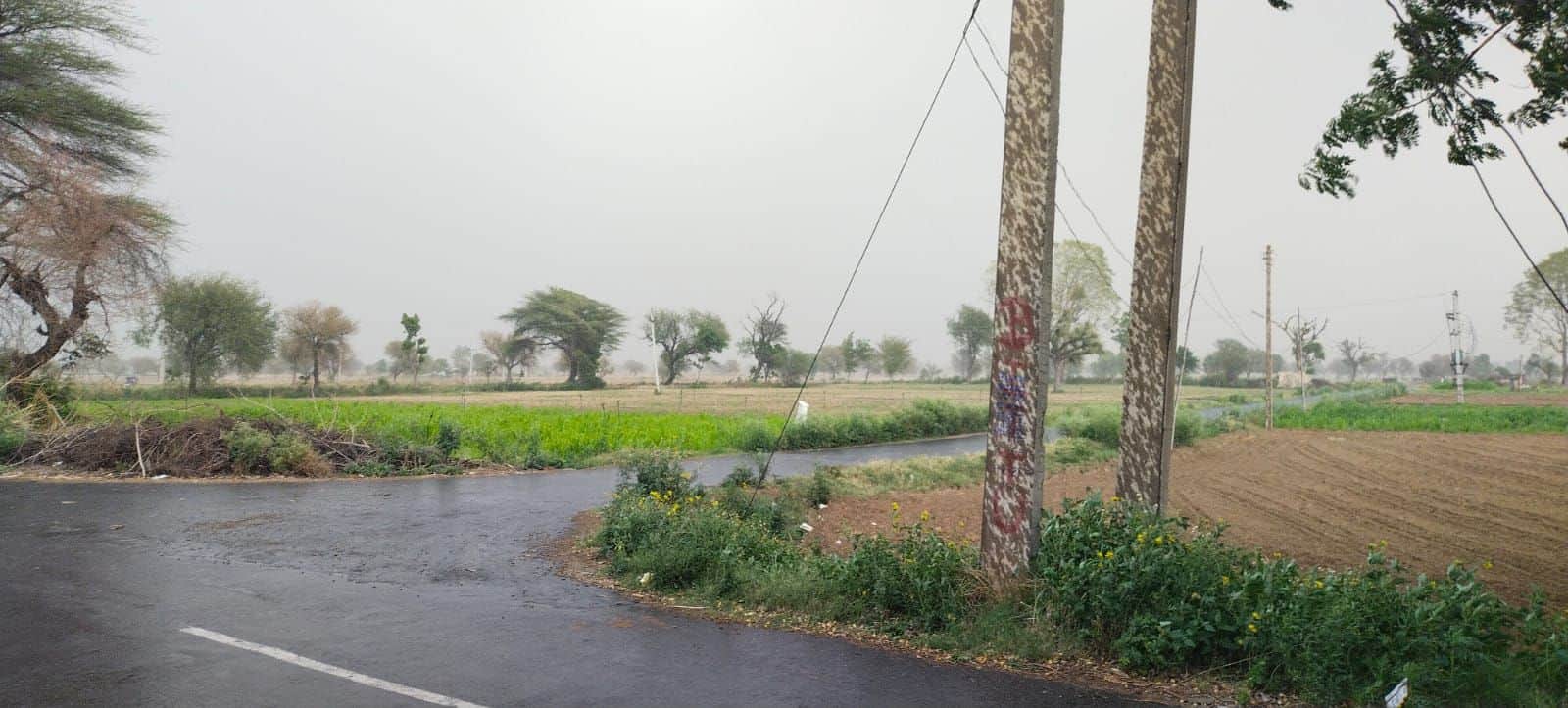 फोटो संख्या:72- गांव अगिहार से  पाथेड़ा मार्ग पर होती बूंदाबांदी का दृश्य--संवाद