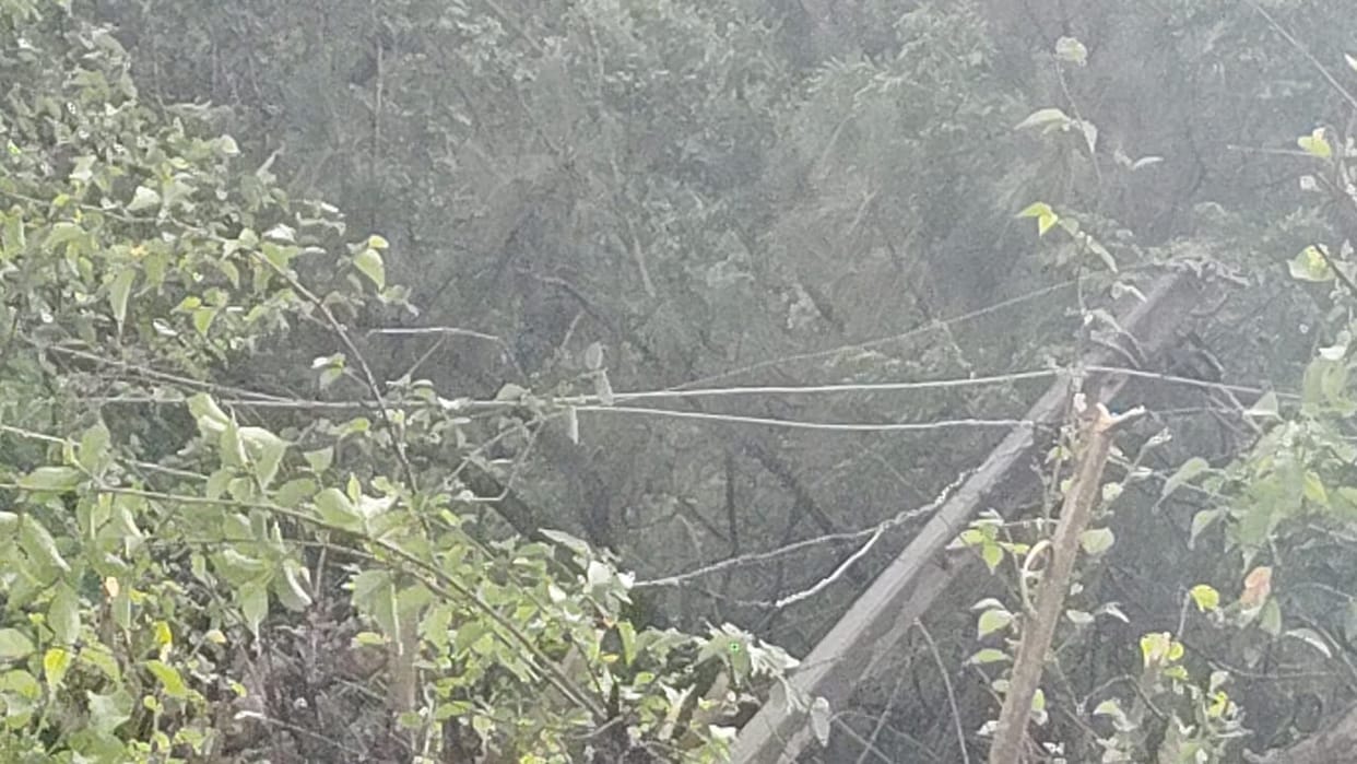 Bilaspur plunged into darkness due to night storm, supply resumed in the afternoon