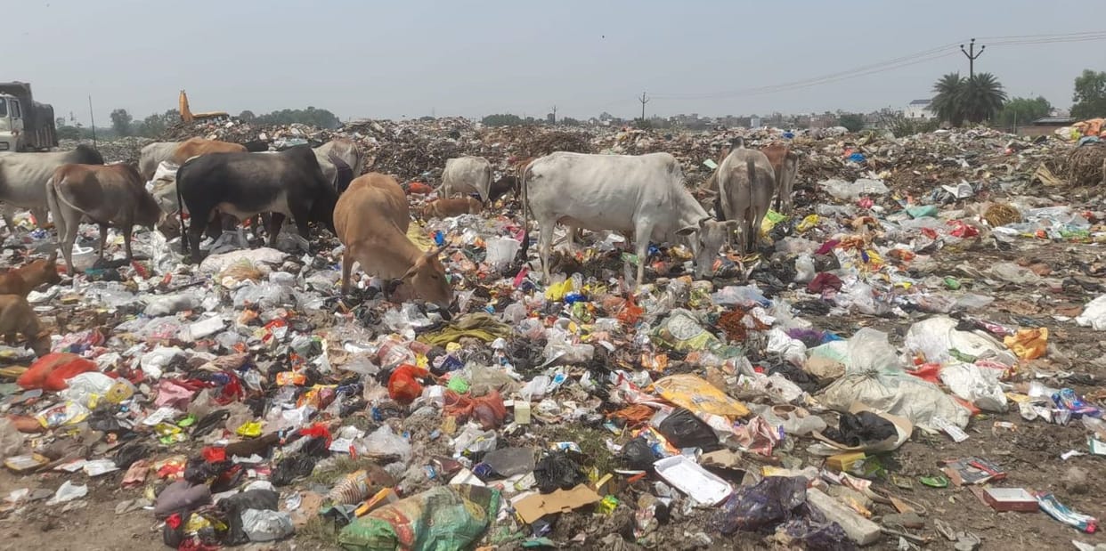 Piles of garbage at the Kakrakalan MRF Center.