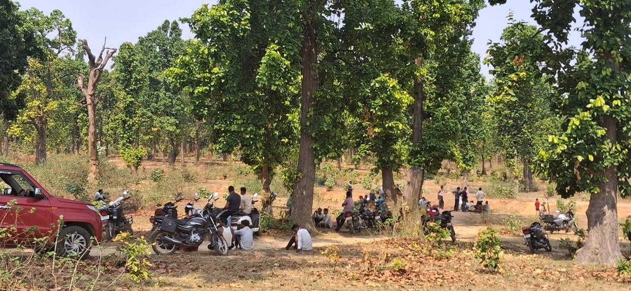 A farmer riding a bike was killed while returning after counting tendu leaves.