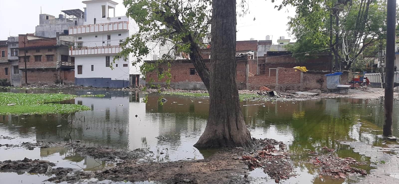 नगर के अनंतपुरा से कोलघाट जाने वाले मार्ग पर जमा नाले का गंदा पानी। संवाद