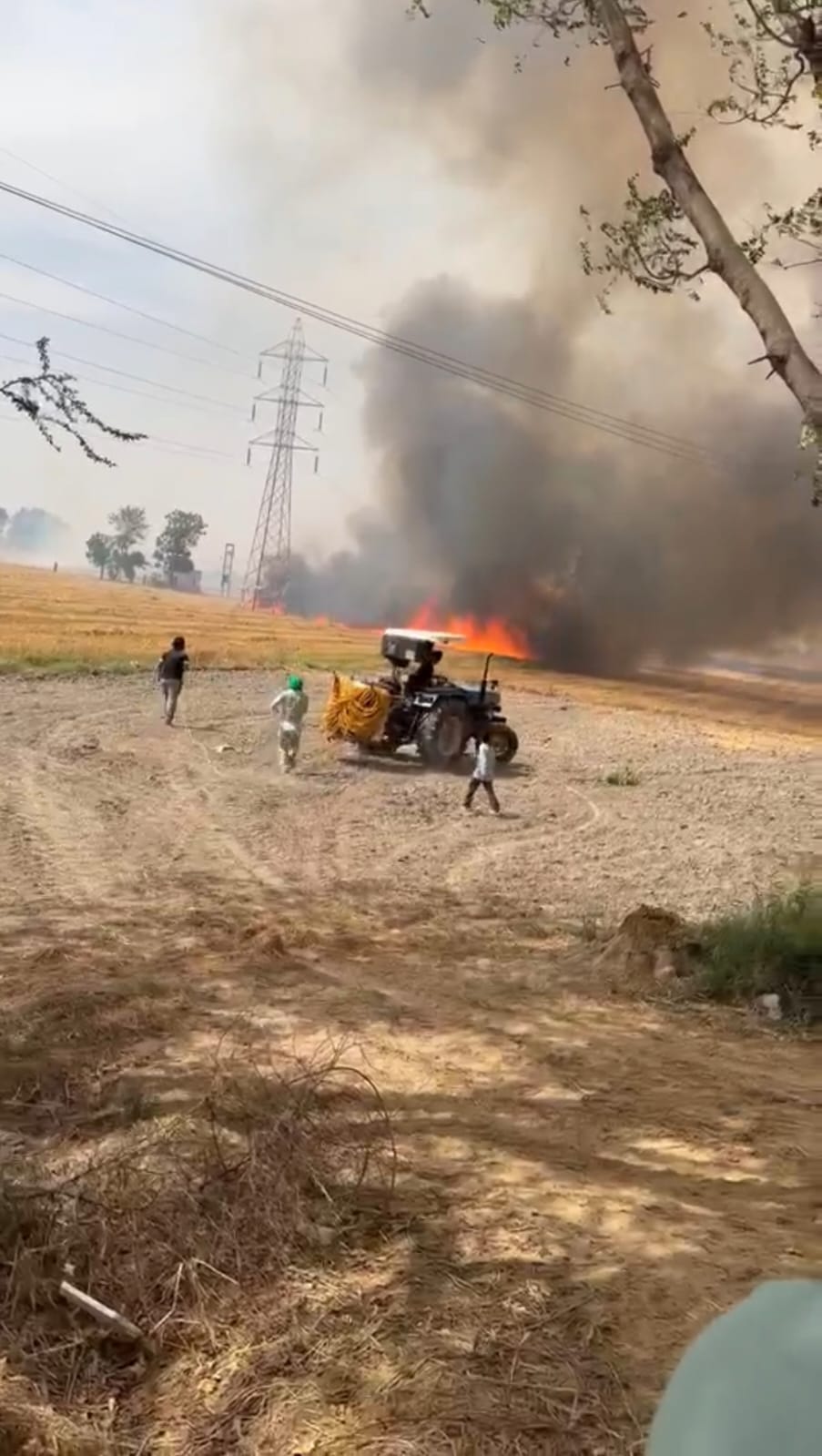 Crop residue burnt at 238 places, FIR against 8 farmers