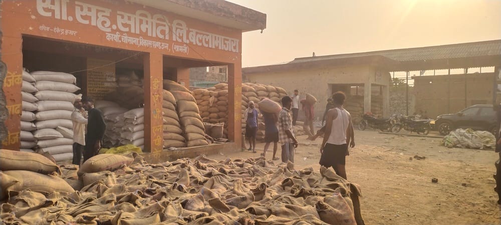 Only one vehicle for transport, wheat stored in the open is at risk of getting wet