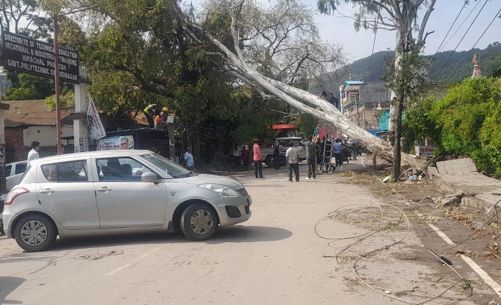 Trees fell on houses, vehicles damaged, roads closed