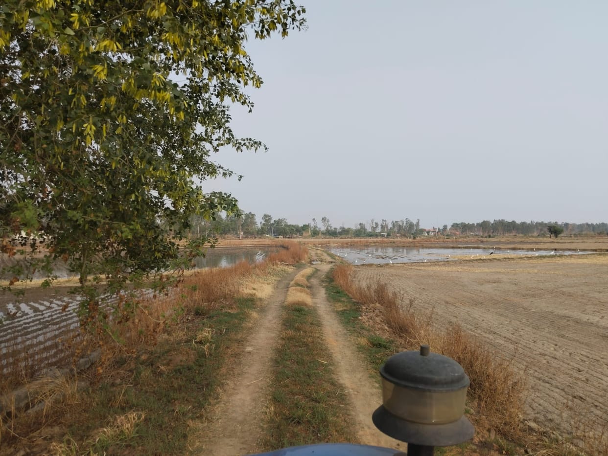 Firni and farm roads will be constructed in Lakdiya at a cost of lakhs.