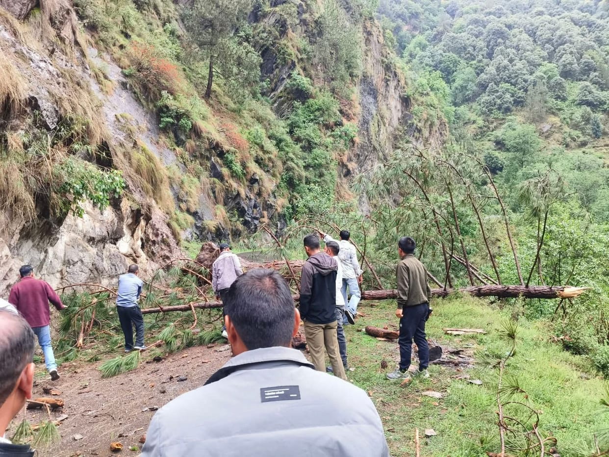 The Himgiri-Chamba via Baroti road was blocked for two hours due to a falling tree.