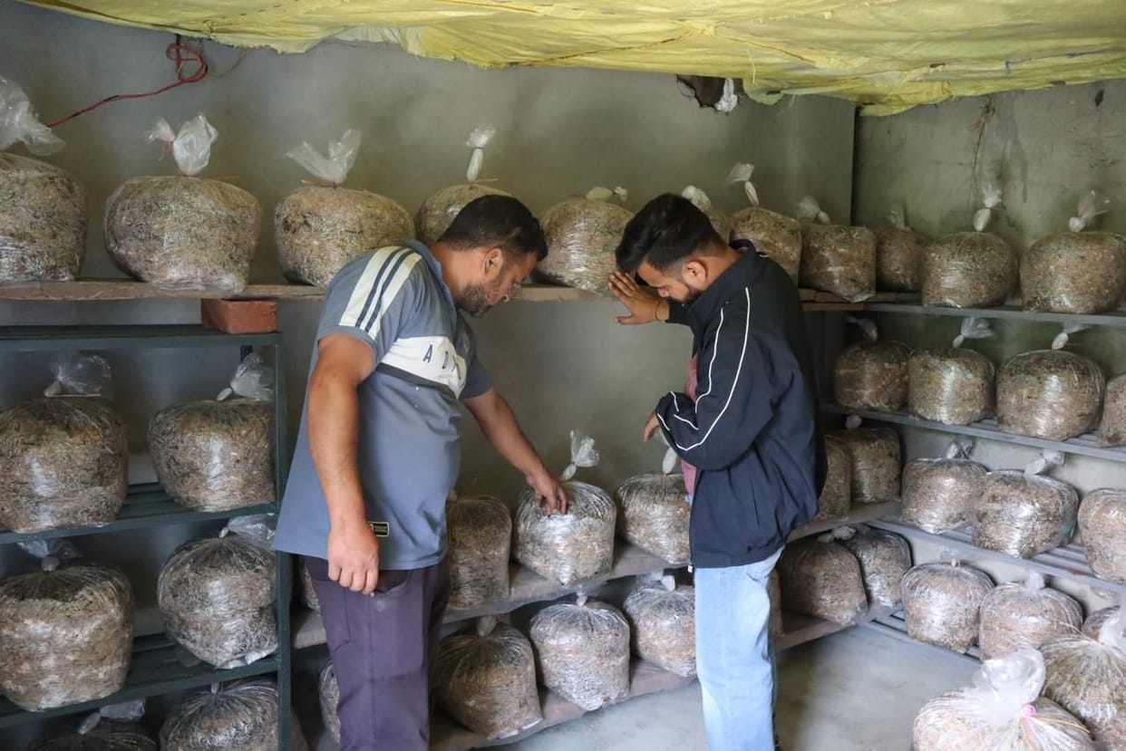 Emphasis on mushroom cultivation to increase farmers' income, oyster mushroom bags and racks distributed to ten farmers