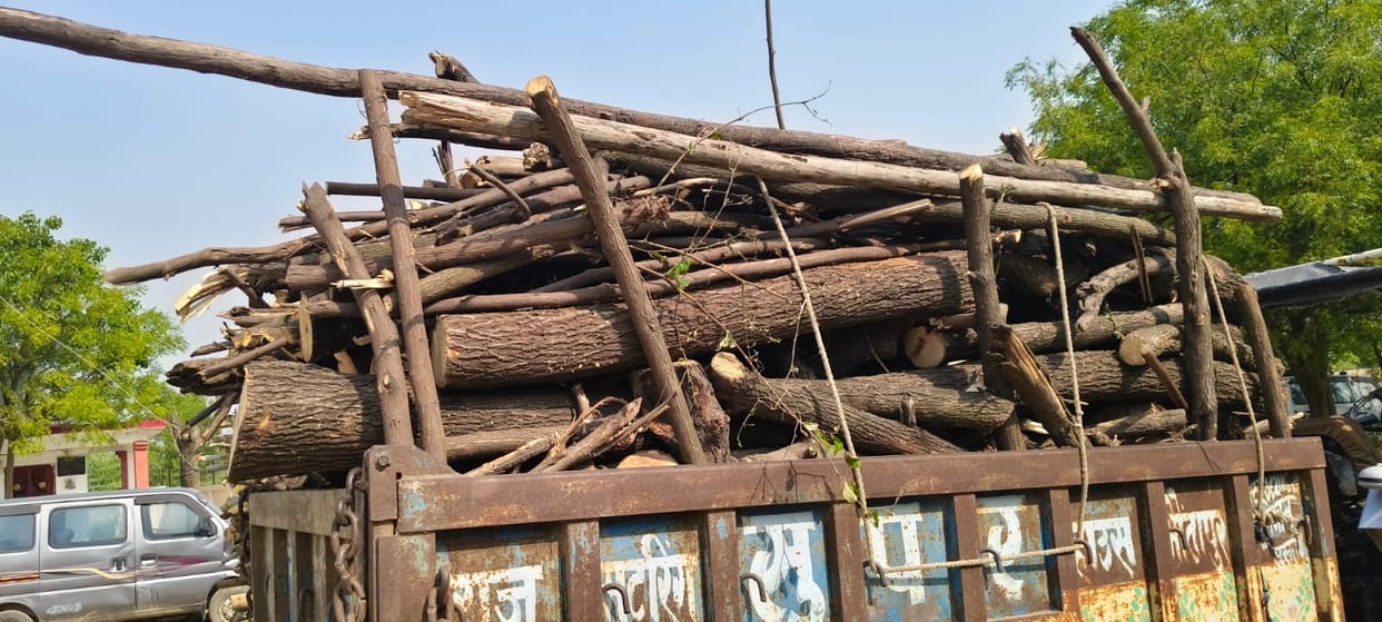 Banned trees being cut in the ravine, police seize tractor-trolley loaded with wood