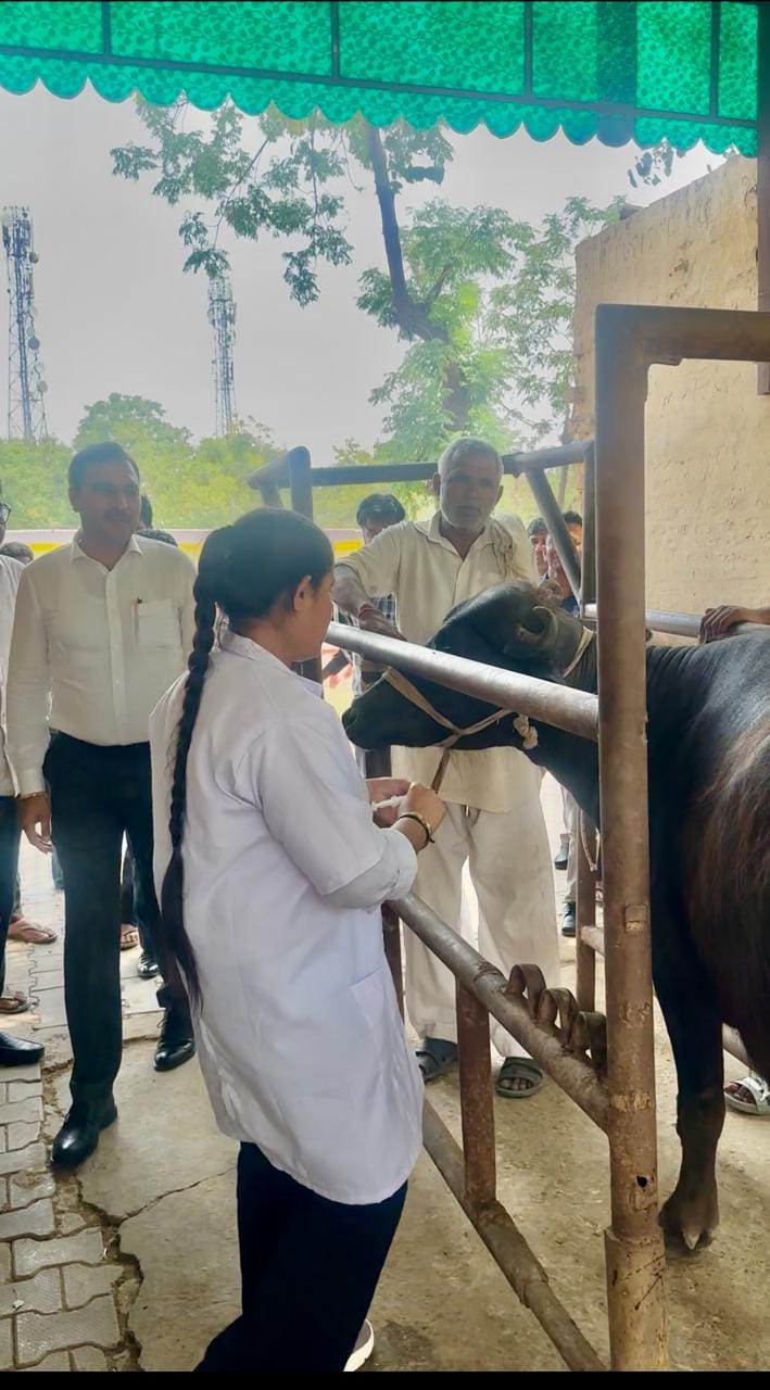 Vaccination is the only effective protection: Dr. Surya