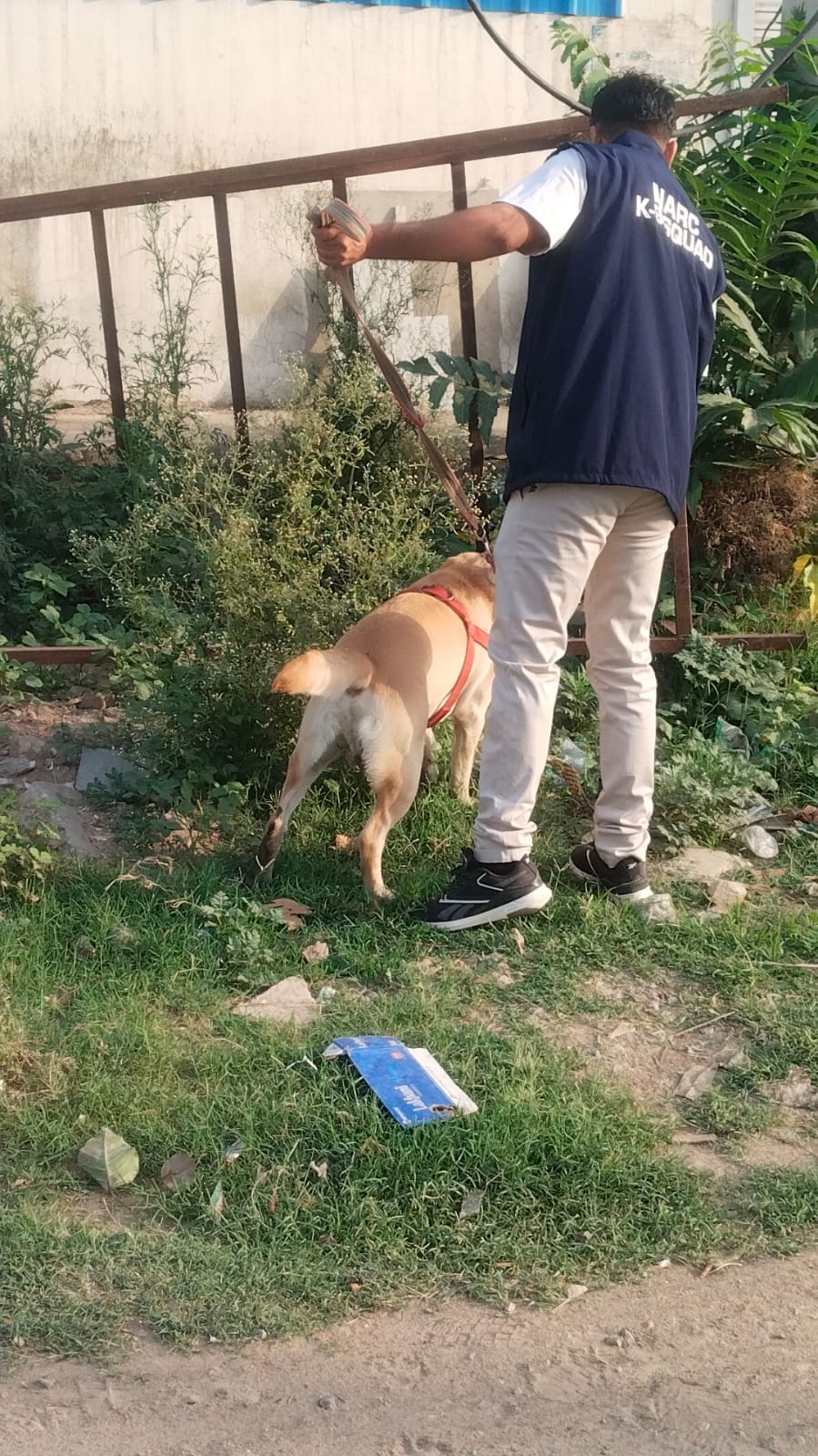 Intensive checking carried out across the city with 9 teams and dog squad