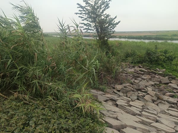 Rain Cuts and Rat Holes Send Villagers' Hearts Racing; Flood Control Department Forgets the Devastation of 2007.