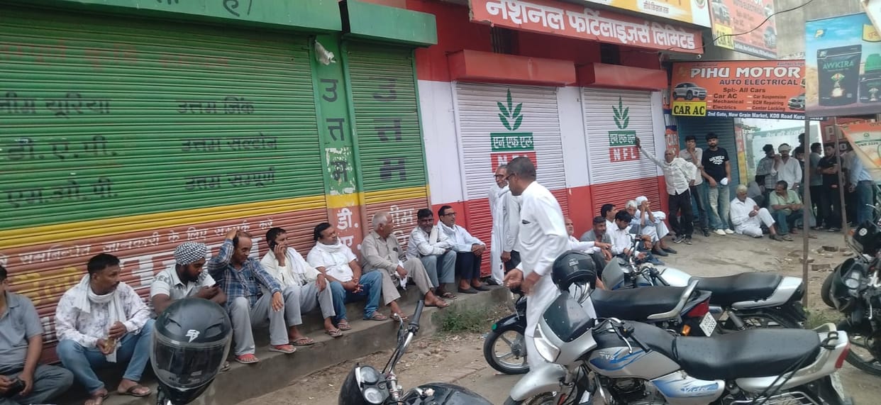 Lines began forming hours before the shop opened to buy paddy seeds.
