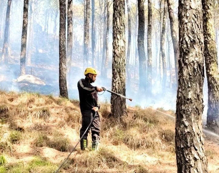 Forest fire breaks out near Anamay Ashram