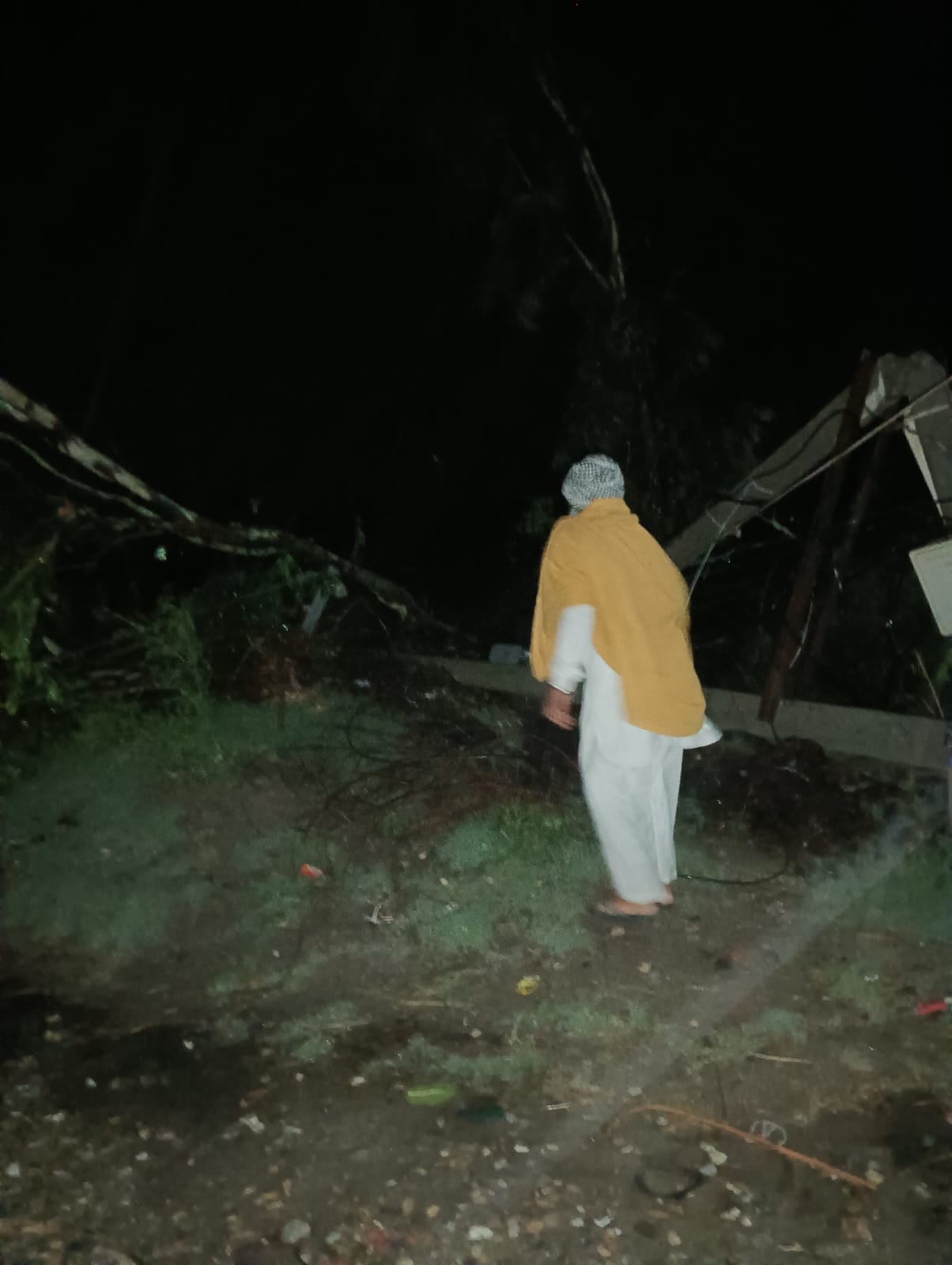 Heavy damage due to storm in Hastinapur, trees fell on roads and electric poles broke.