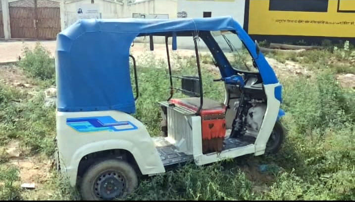 E-rickshaw overturns on highway in attempt to save cattle; woman injured.