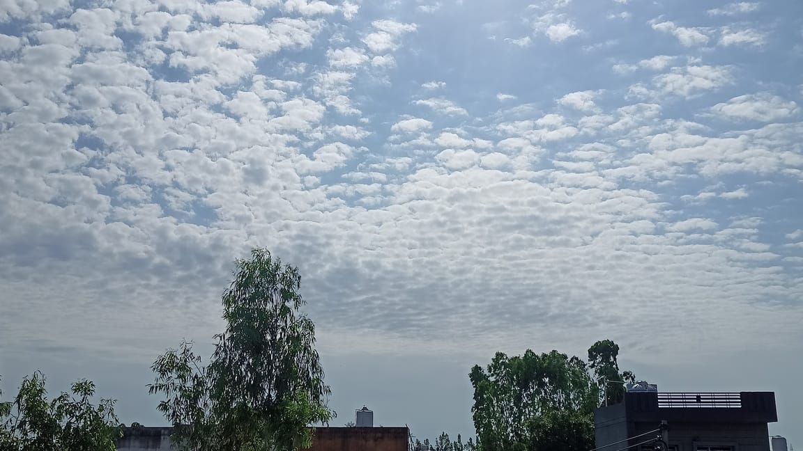 Relief from light drizzle in the morning; the sun became bothersome in the afternoon