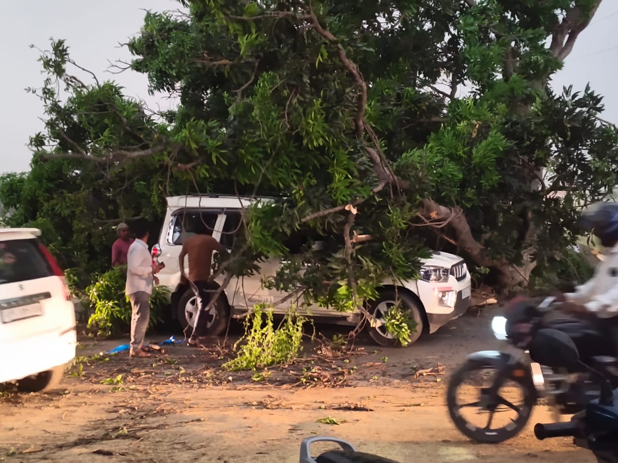 The storm caused the downing of trees and poles, power outages, and damage to several vehicles.