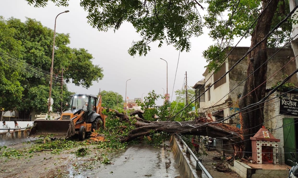 Tree fell during storm and rain, child and teenager lost their lives