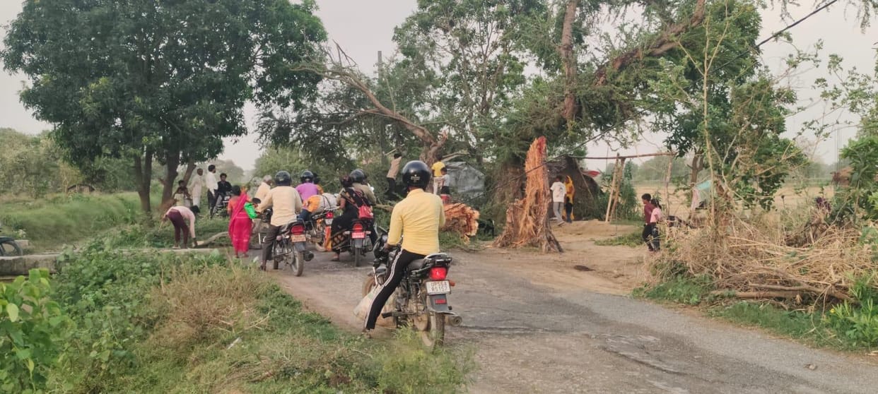 Morning and evening rains brought pleasant weather, relief from the heat