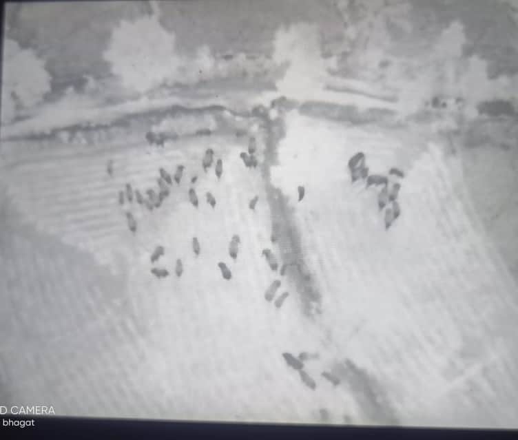 रायगढ़ में दिखा हाथियों का महादल