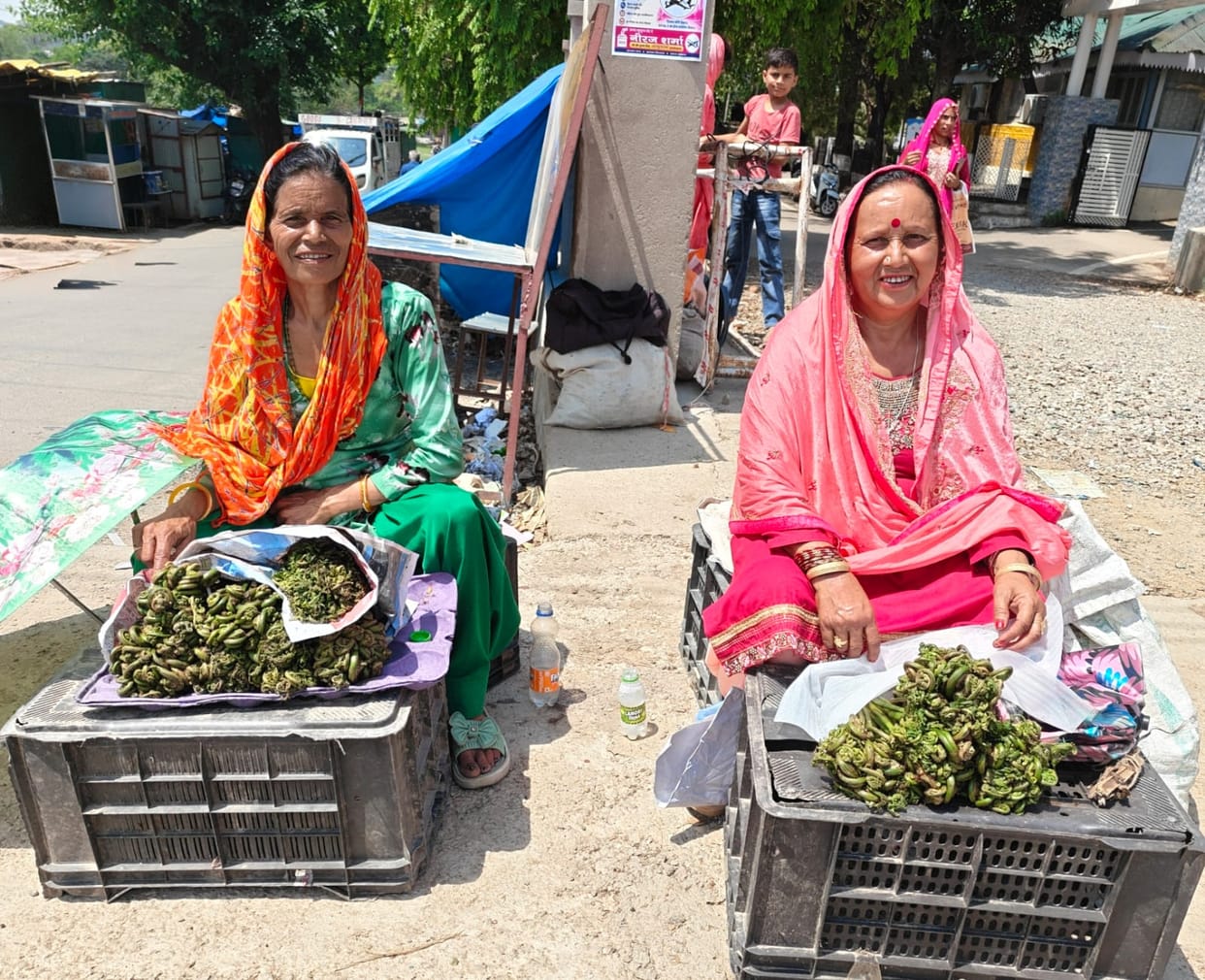 Green gold of the mountains becomes the basis of livelihood along with taste and health.