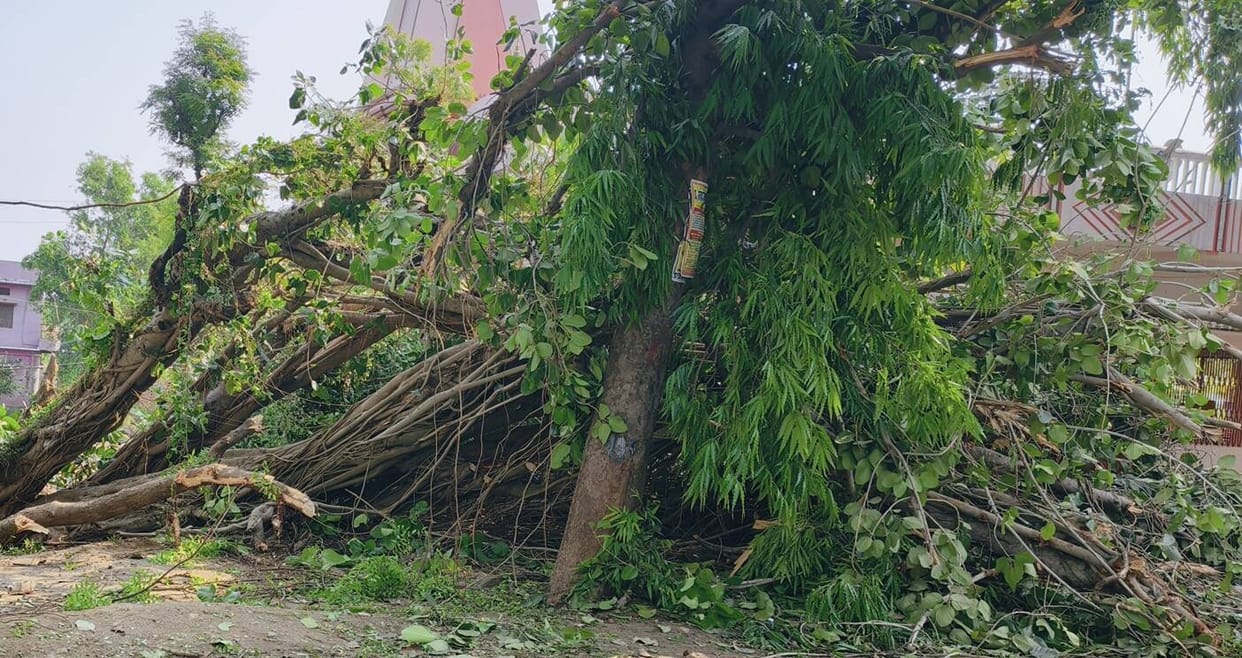 Due to the storm and rain, electricity remained off in 20 villages of Dubhar area even after 24 hours.