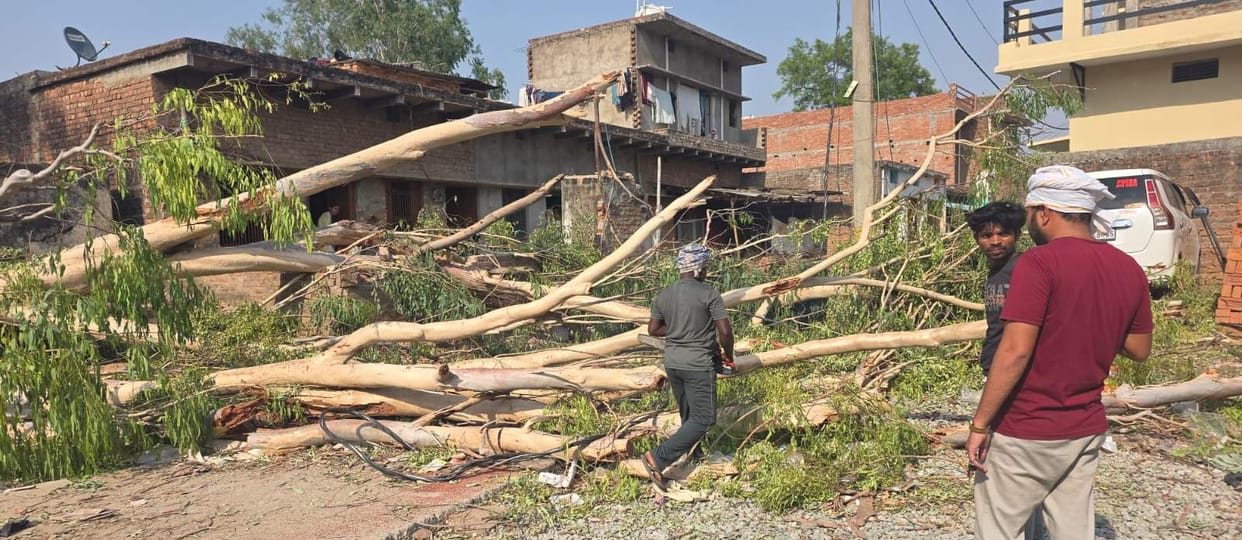 Storm turned into disaster... 125 trees fell, 122 villages plunged into darkness, houses and temples were also damaged