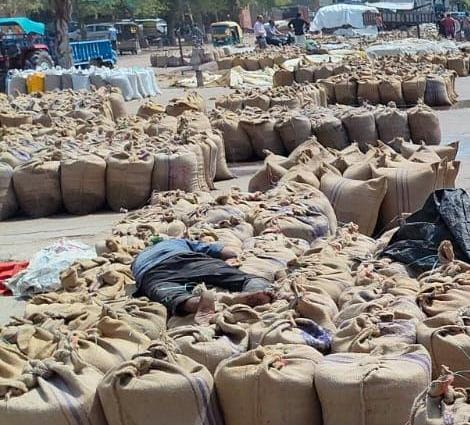 About 3.90 lakh quintals of wheat was procured in the district.