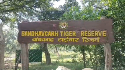 बांधवगढ़ टाइगर रिजर्व