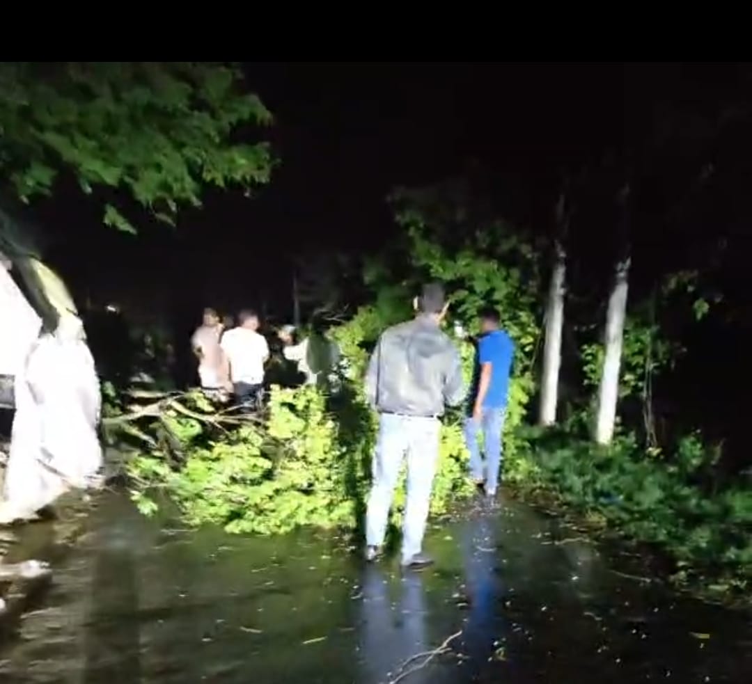 395 Electric Poles Uprooted in Storm; 112 Transformers Damaged