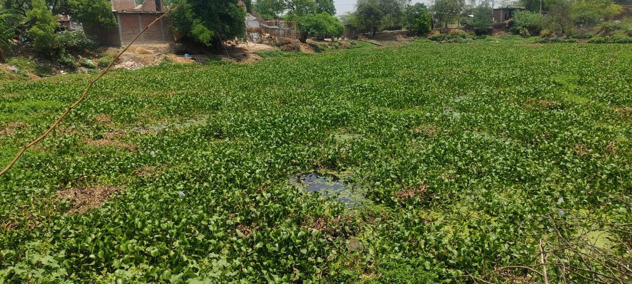 Possibility of spreading disease due to pollution in the pond