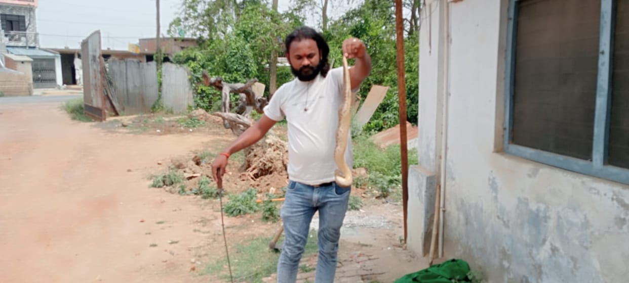 There was a stir due to the discovery of a commonsent boa species of snake.
