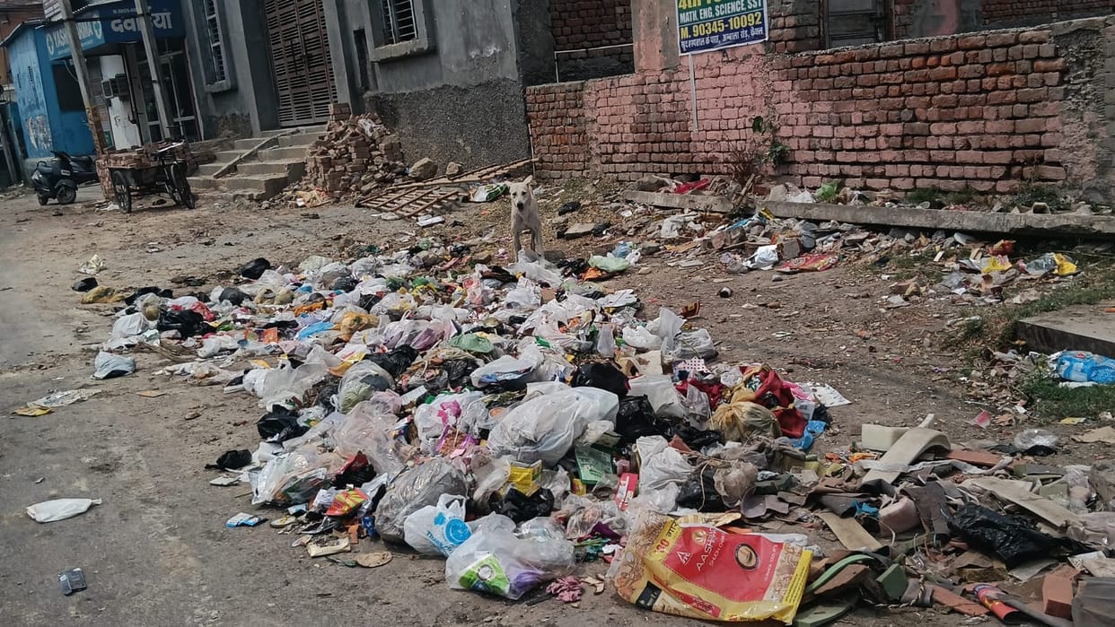 Employees will return to work after 14 days, 600 tons of garbage is scattered on the roads.