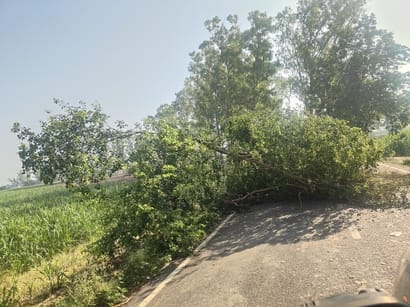 Rain and storm caused downed poles and trees in more than 20 locations, leading to blackouts.