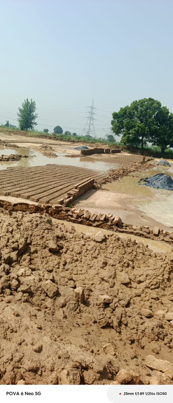 Raw bricks washed away in the rain, causing a loss of Rs 20 crore.