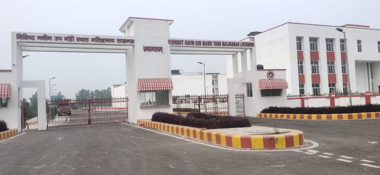 Commission Agents Steer Clear of the New Malihabad Sub-Market
