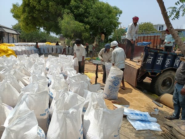 Now the purchase of wheat has started in plastic bags.