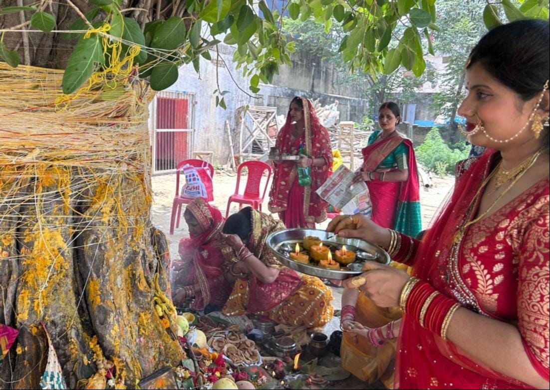 Vat Savitri fast is observed for the long life of the husband