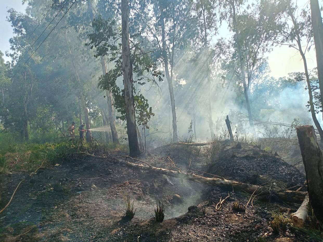 Fire broke out on grazing land, accident averted due to prompt action of fire brigade