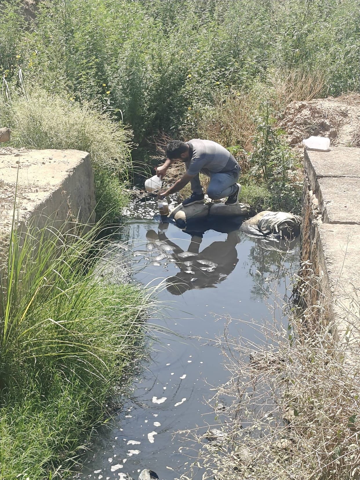 250 Industries Poisoning Rivers: Pollution Control Board Investigation Reveals